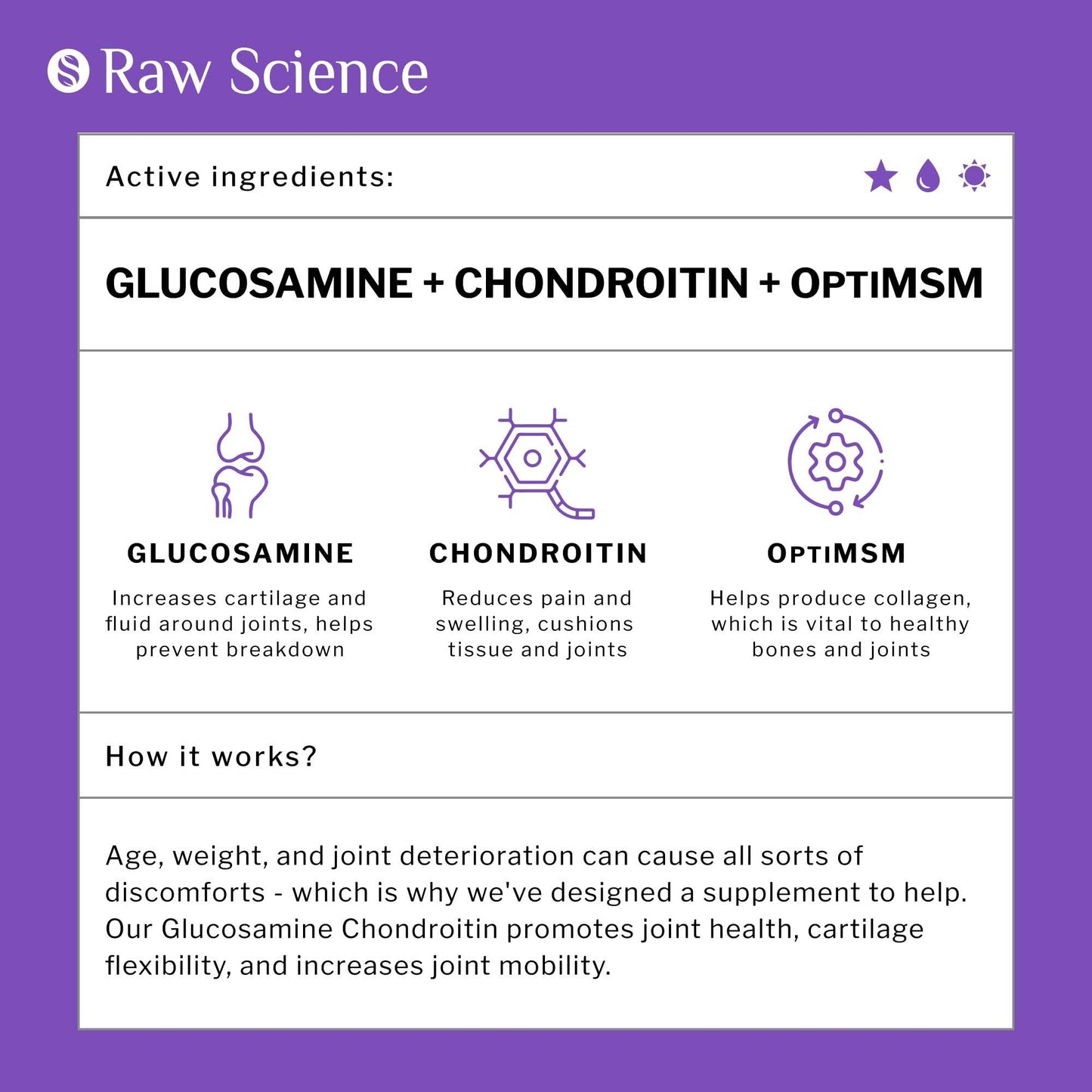 Glucosamine Chondroitin MSM Capsules  Joint Support