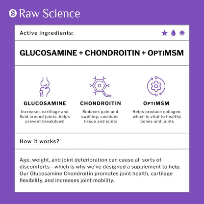 Glucosamine Chondroitin MSM Capsules  Joint Support